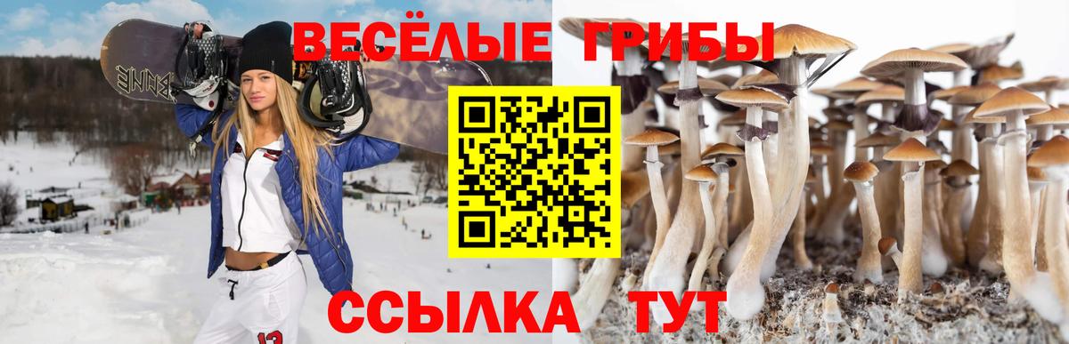 Псилоцибиновые грибы MAGIC MUSHROOMS  Псилоцибиновые грибы GOLDEN TEACHER  Вход с VPN  Пушкино 