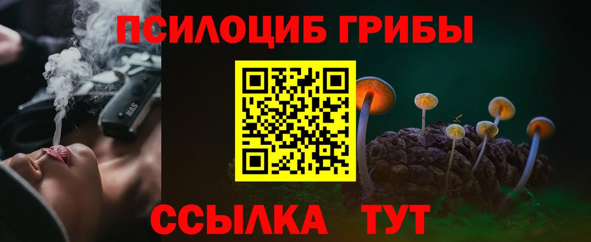 Псилоцибиновые грибы Psilocybine cubensis Пушкино